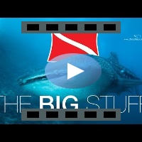The Big Stuff - Maledives