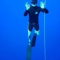 Freediver 