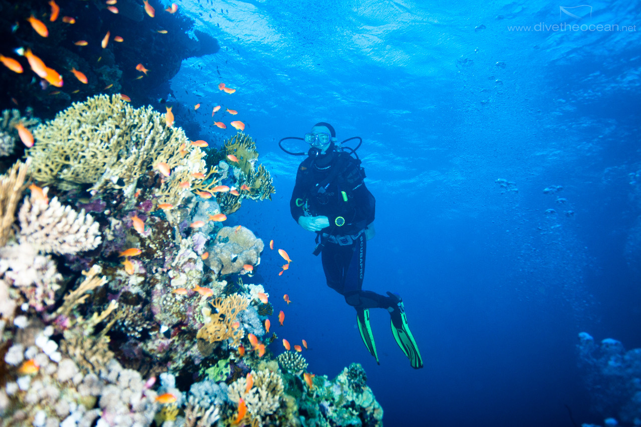 Michal exploring the reef